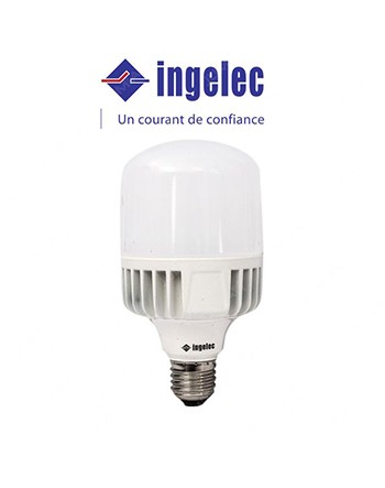 Ampoule Led Haute Puissance 30W E27 - Blanc